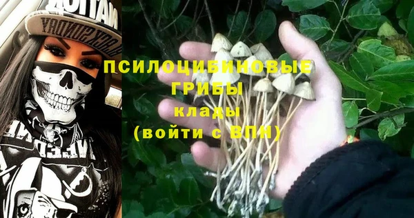 прущие крисы Надым