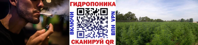 Марихуана марихуана  продажа наркотиков  Мегион 