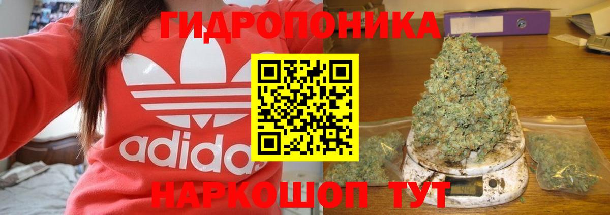 Конопля конопля  Мегион  Канабис Amnesia 